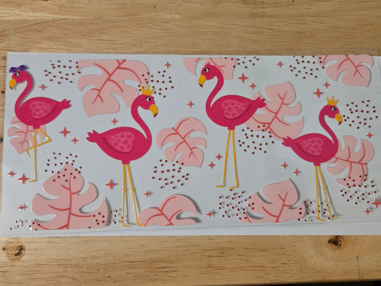 Flamingos