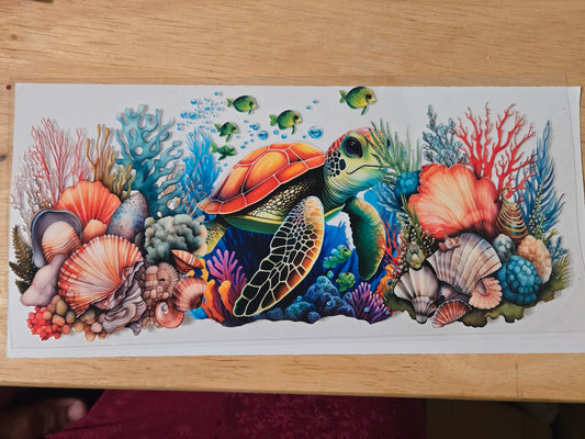 Turtle