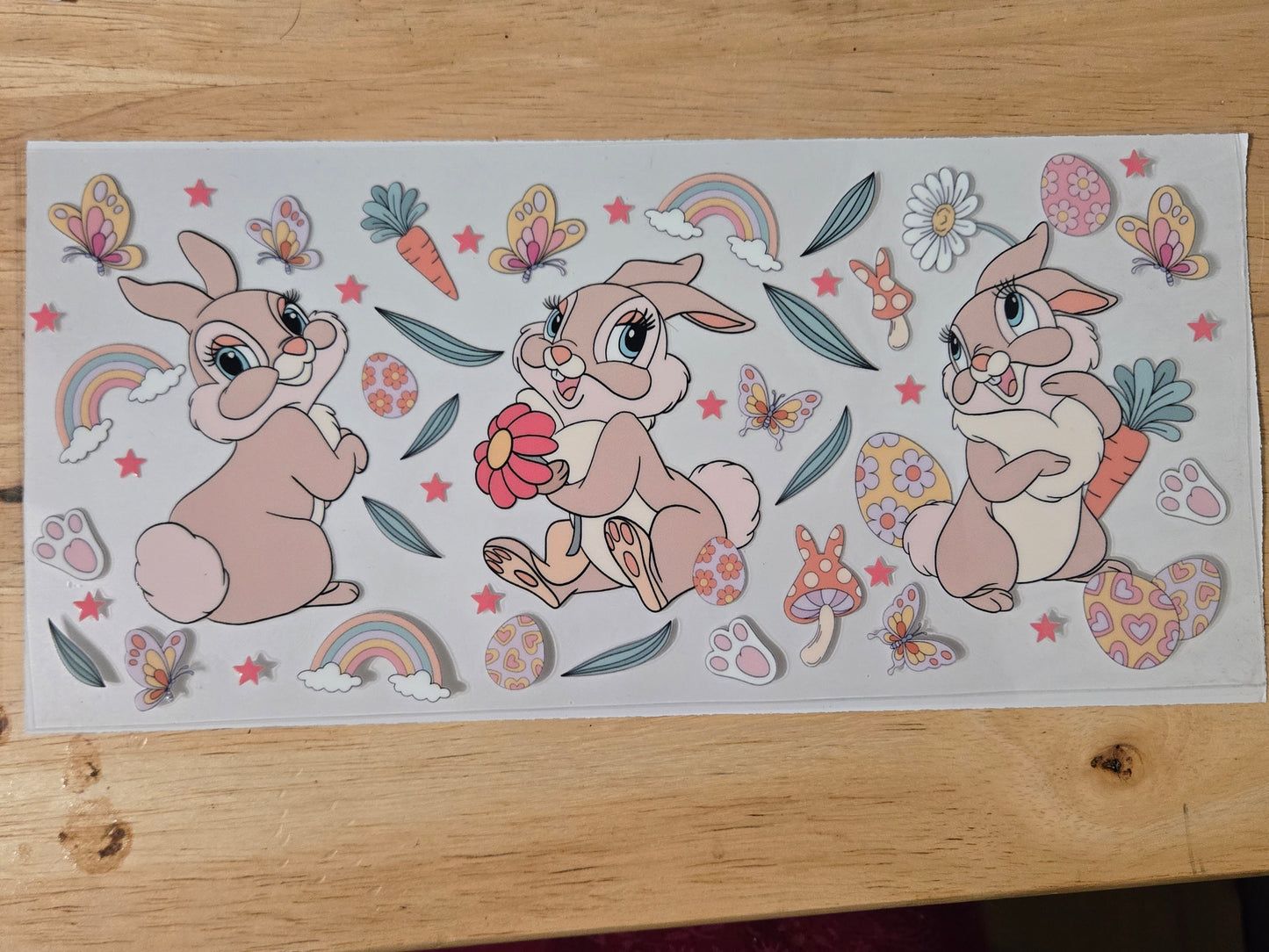 Rabbit